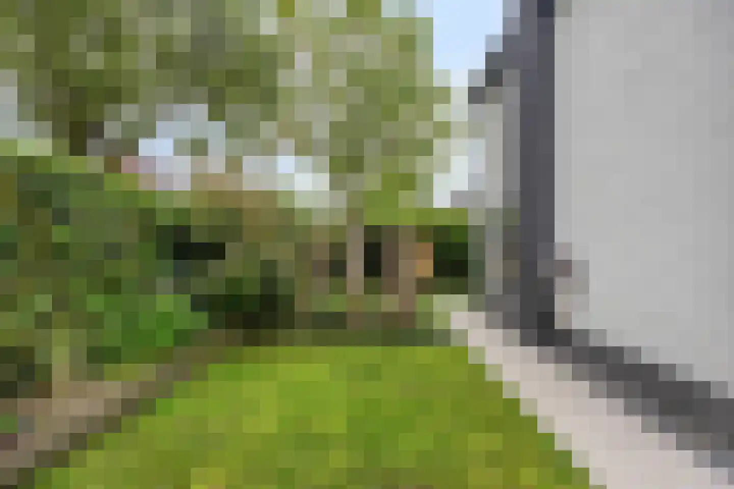 Pastoriestraat 15 Made thumbnail 37