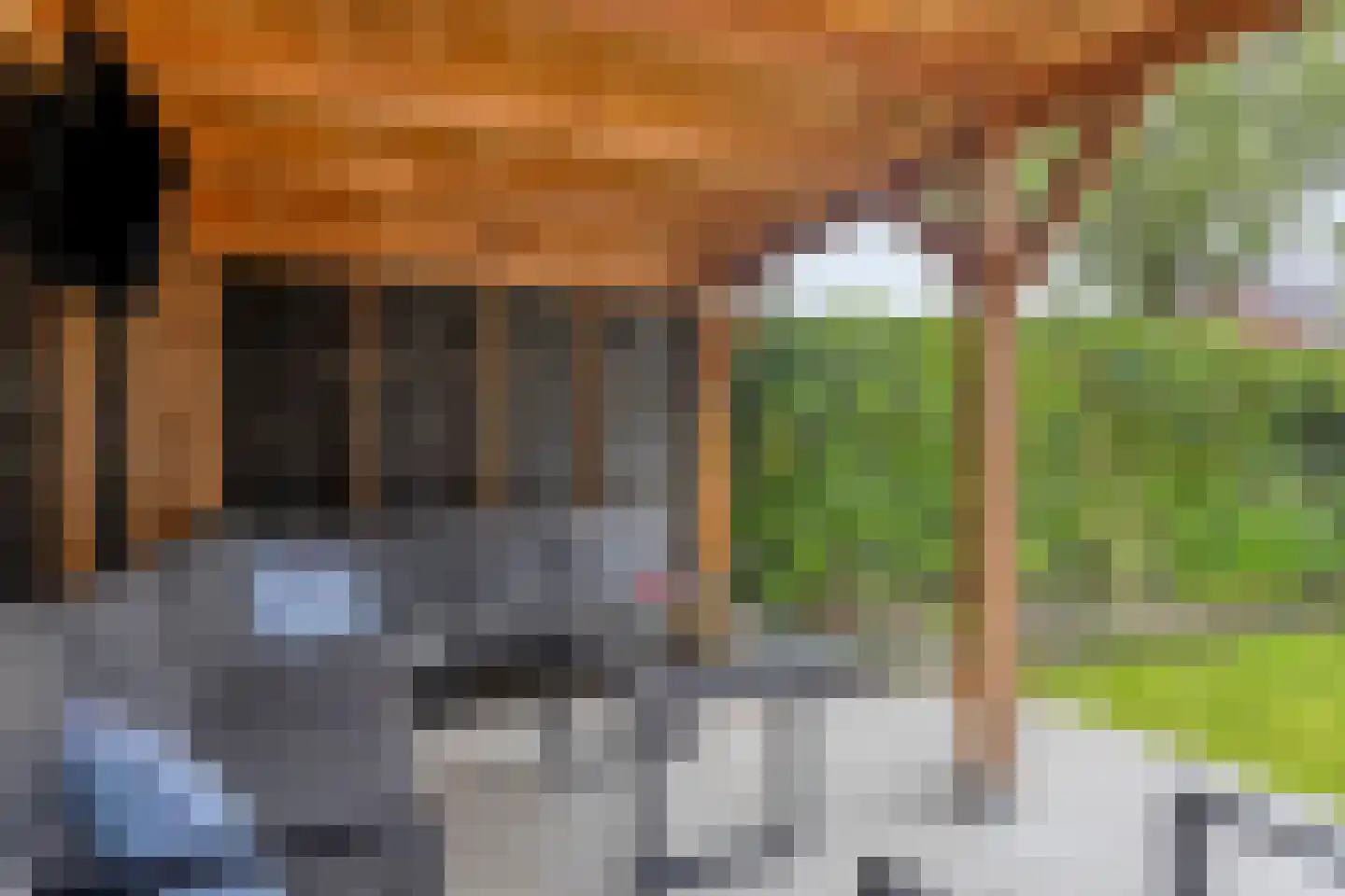 Pastoriestraat 15 Made thumbnail 38