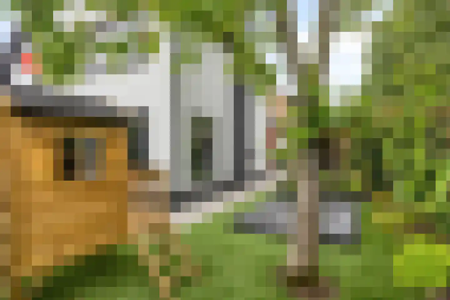 Pastoriestraat 15 Made thumbnail 41