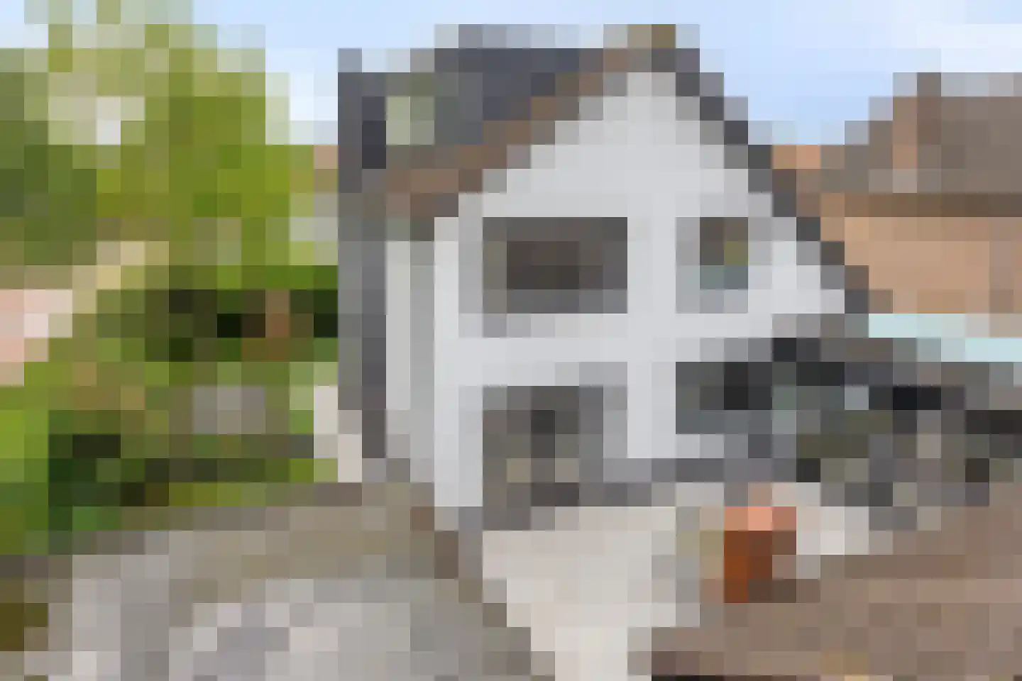 Pastoriestraat 15 Made thumbnail 47