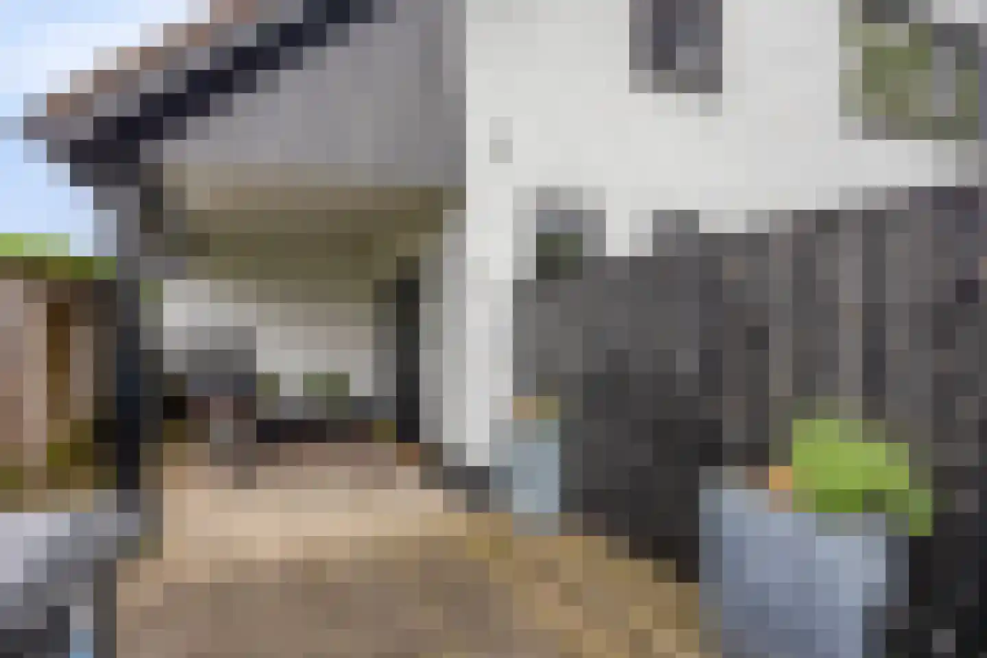 Pastoriestraat 15 Made thumbnail 7