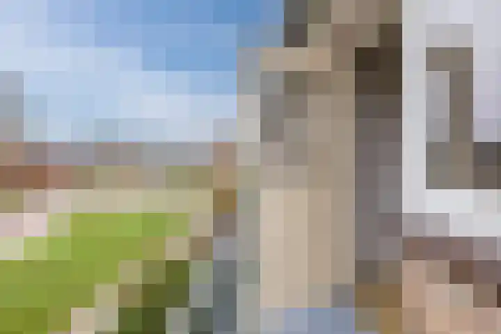 Pastoriestraat 17 Dalfsen thumbnail 31