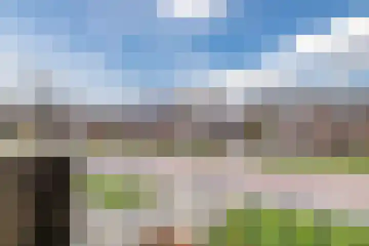 Pastoriestraat 17 Dalfsen thumbnail 32