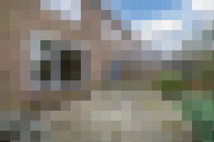 Pastoriestraat 17 Dalfsen thumbnail 35