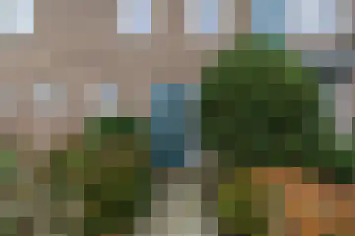 Pastoriestraat 17 Dalfsen thumbnail 4