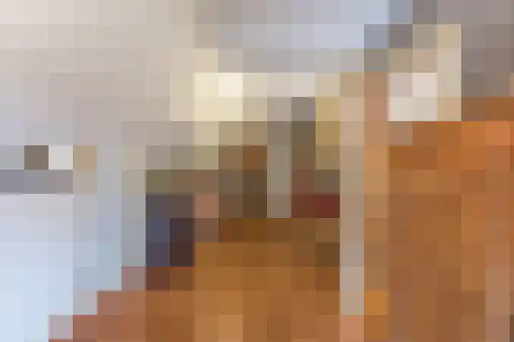Pastoriestraat 19 Velp thumbnail 26