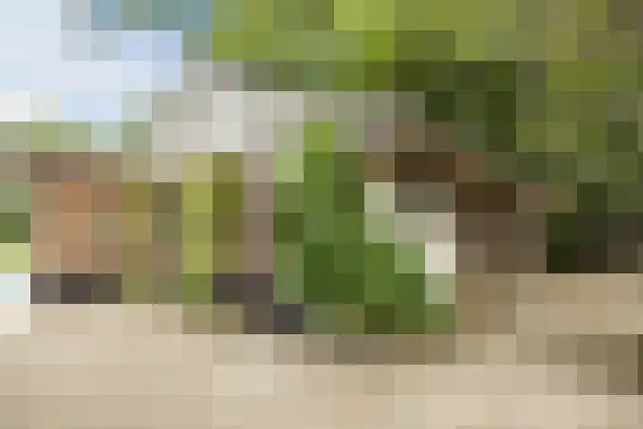 Pastoriestraat 19 Velp thumbnail 33