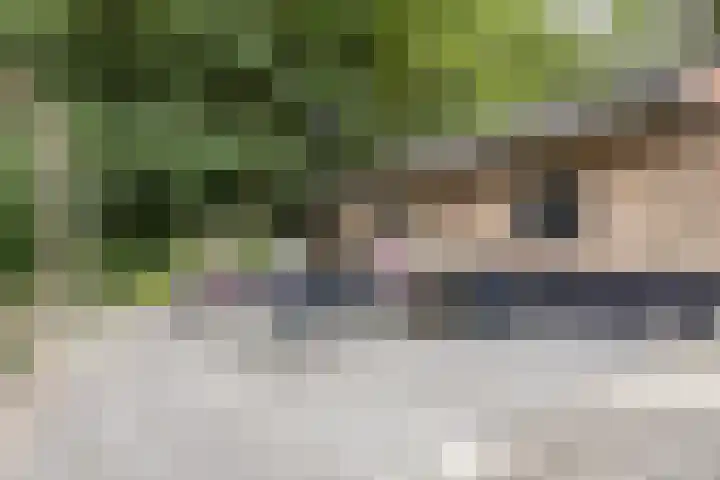 Pastoriestraat 19 Velp thumbnail 39