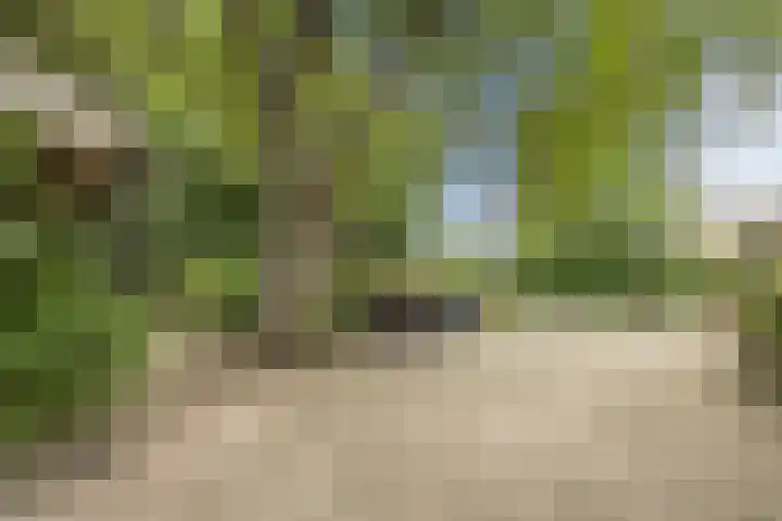 Pastoriestraat 19 Velp thumbnail 48