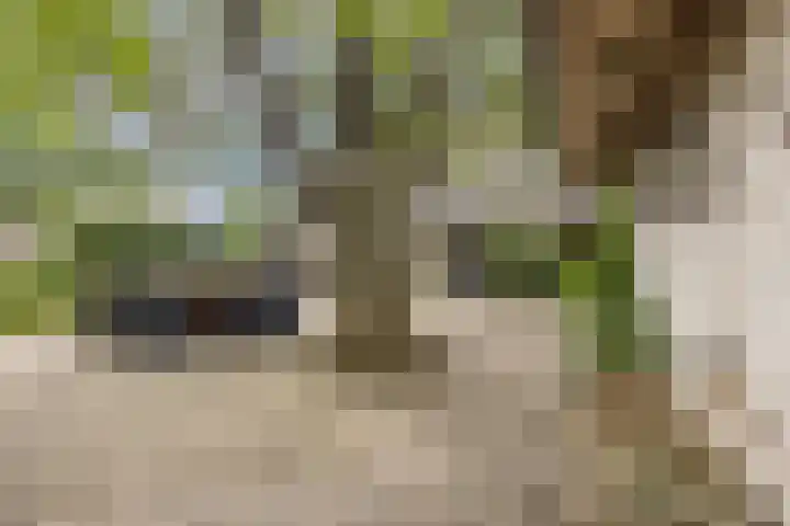 Pastoriestraat 19 Velp thumbnail 49