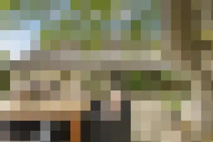 Pastoriestraat 19 Velp thumbnail 50