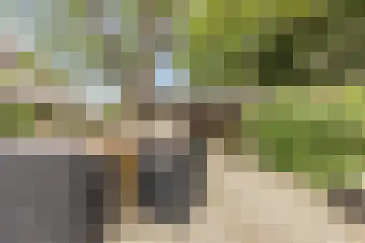 Pastoriestraat 19 Velp thumbnail 51
