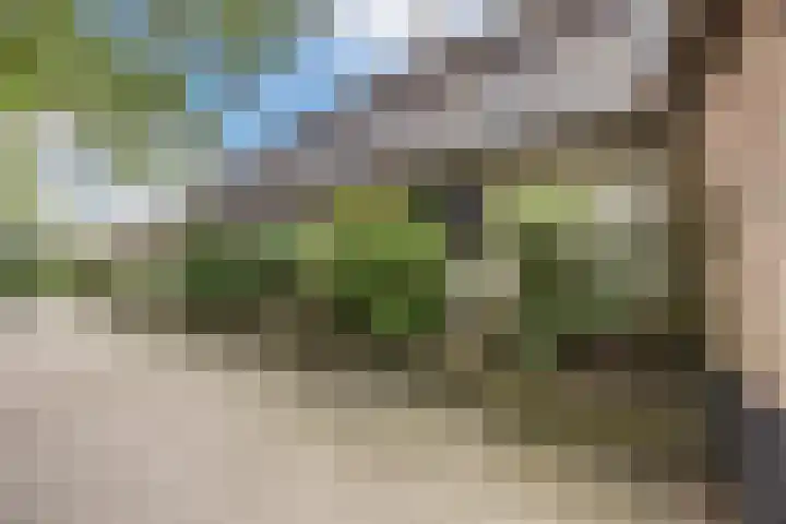 Pastoriestraat 19 Velp thumbnail 52