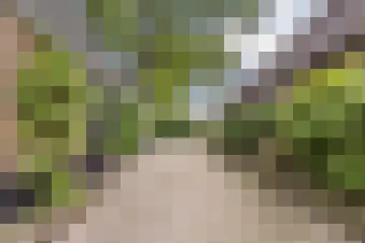 Pastoriestraat 19 Velp thumbnail 53