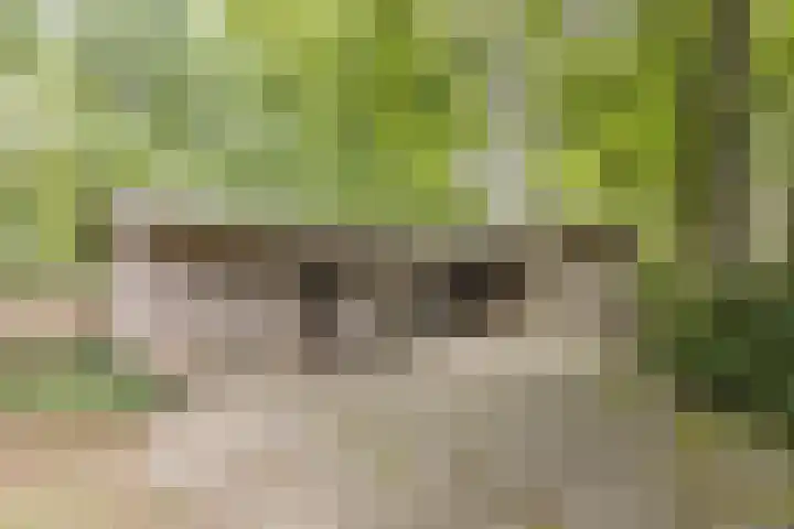 Pastoriestraat 19 Velp thumbnail 56