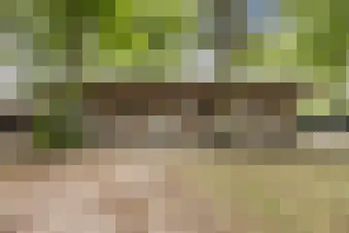 Pastoriestraat 19 Velp thumbnail 57