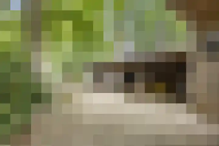 Pastoriestraat 19 Velp thumbnail 58