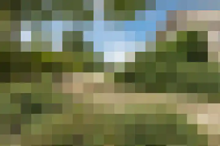 Pastoriestraat 19 Velp thumbnail 60