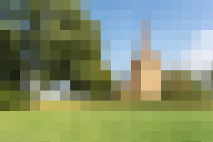Pastoriestraat 19 Velp thumbnail 64