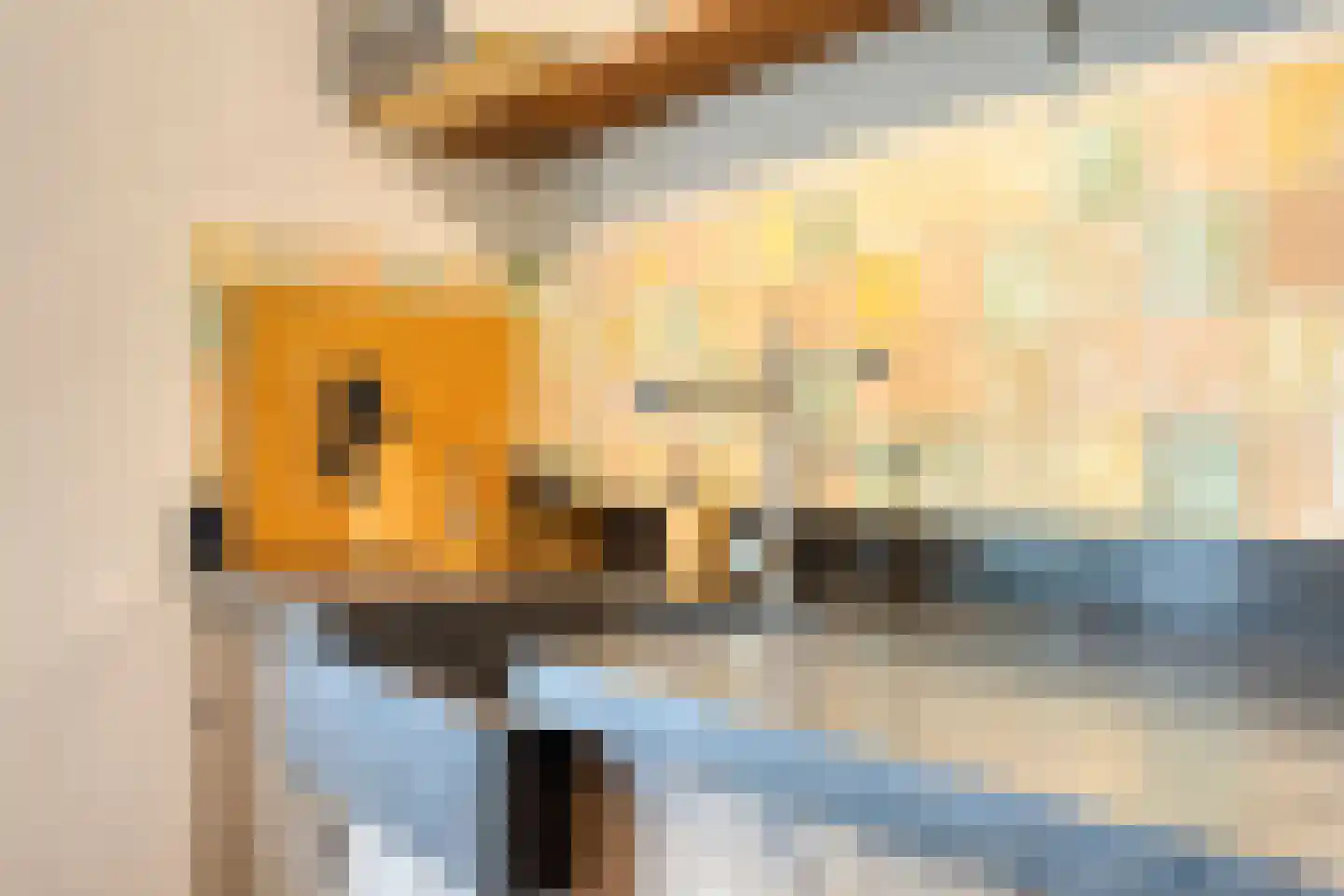 Pastoriestraat 2 Vlierden thumbnail 24