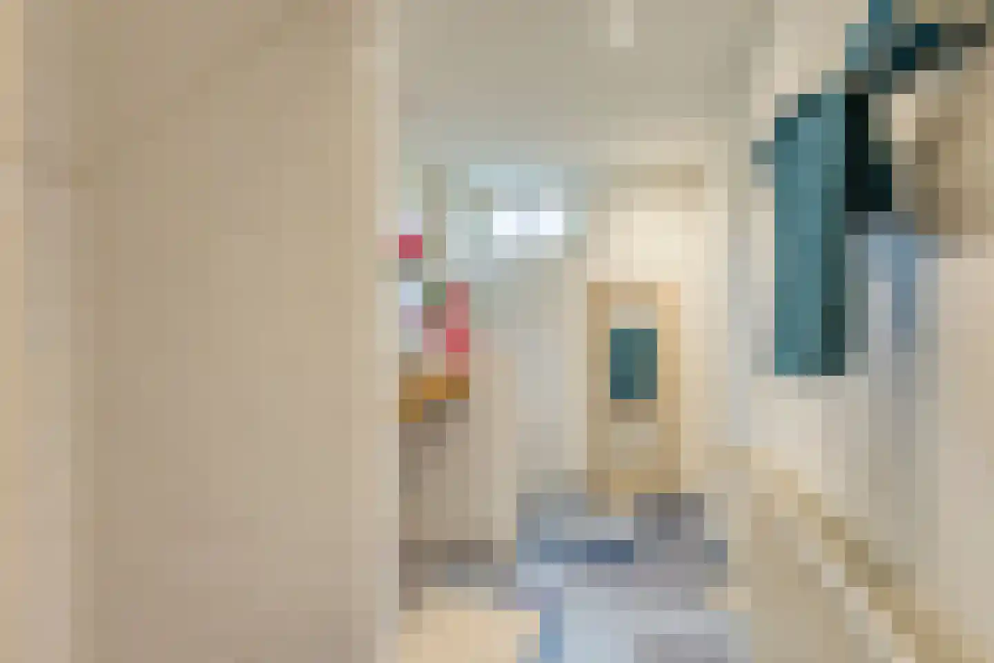 Pastoriestraat 2 Vlierden thumbnail 32