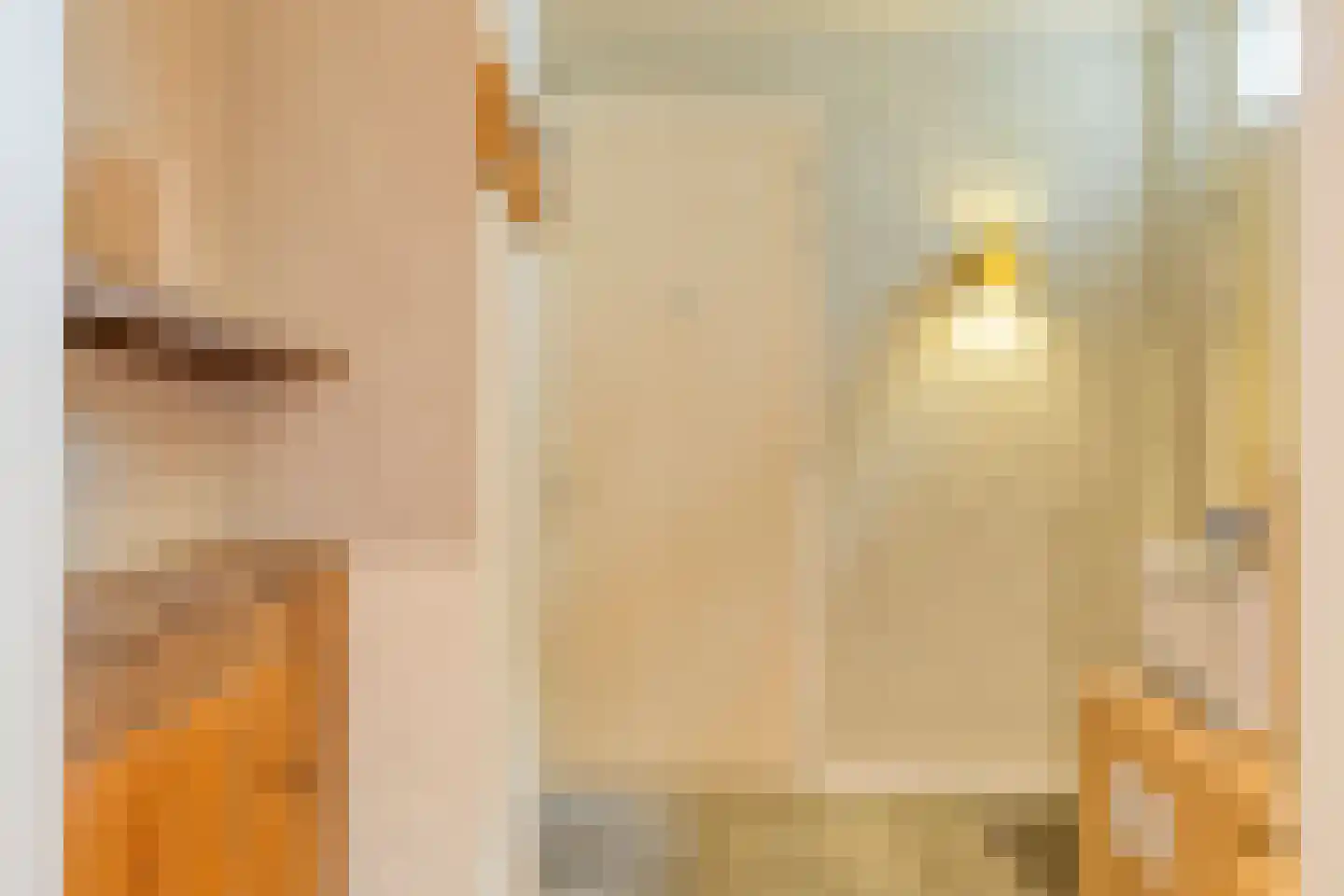 Pastoriestraat 2 Vlierden thumbnail 38