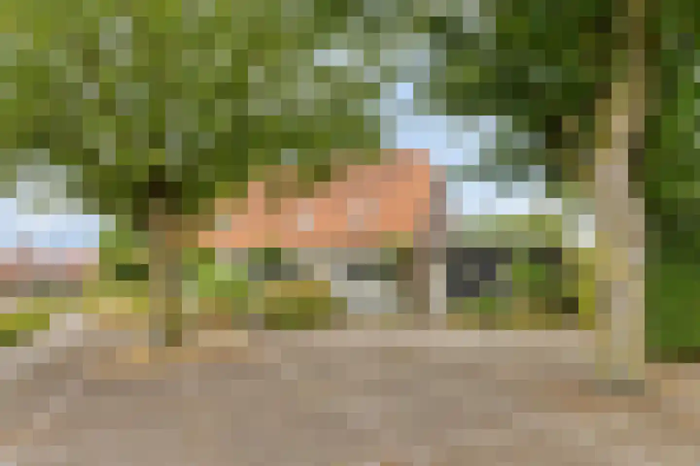 Pastoriestraat 2 Vlierden thumbnail 4