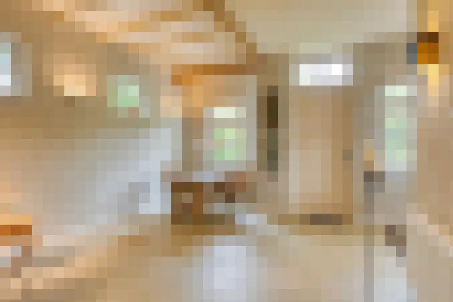 Pastoriestraat 2 Vlierden thumbnail 41