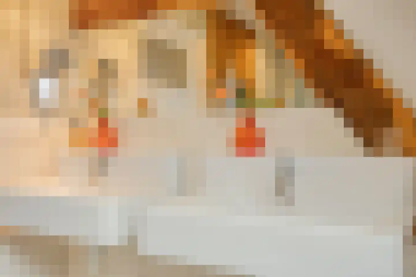 Pastoriestraat 2 Vlierden thumbnail 57