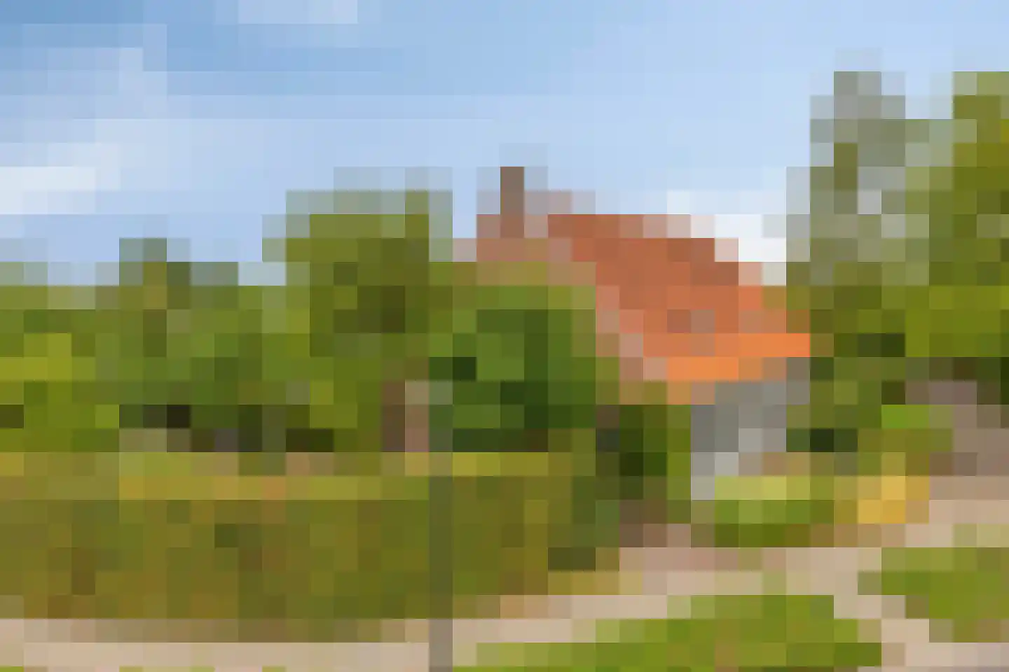 Pastoriestraat 2 Vlierden thumbnail 6