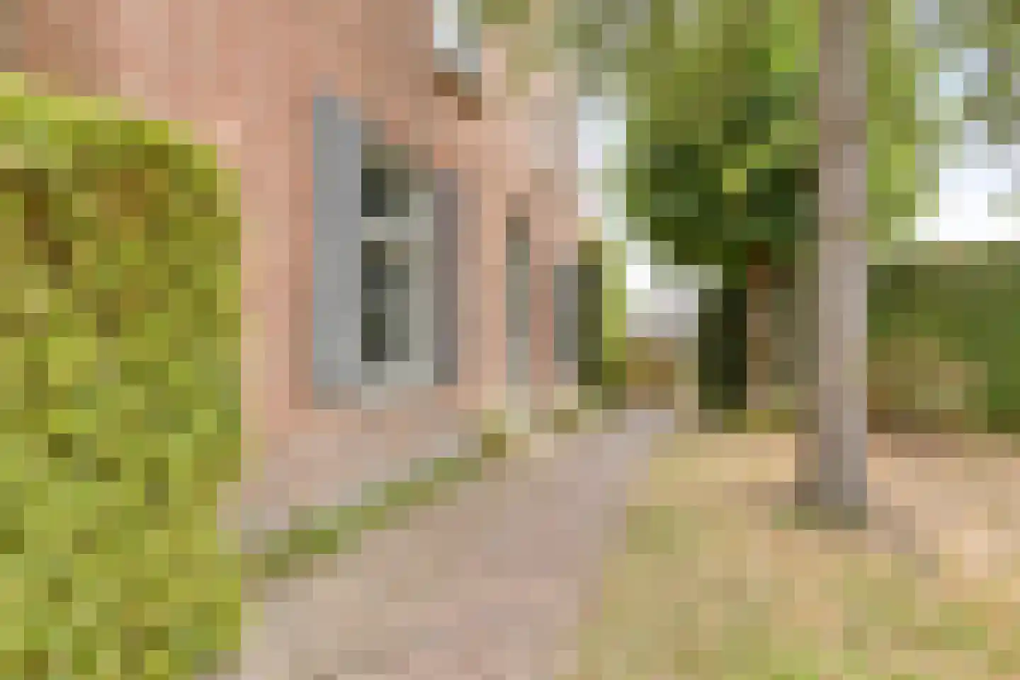 Pastoriestraat 2 Vlierden thumbnail 7