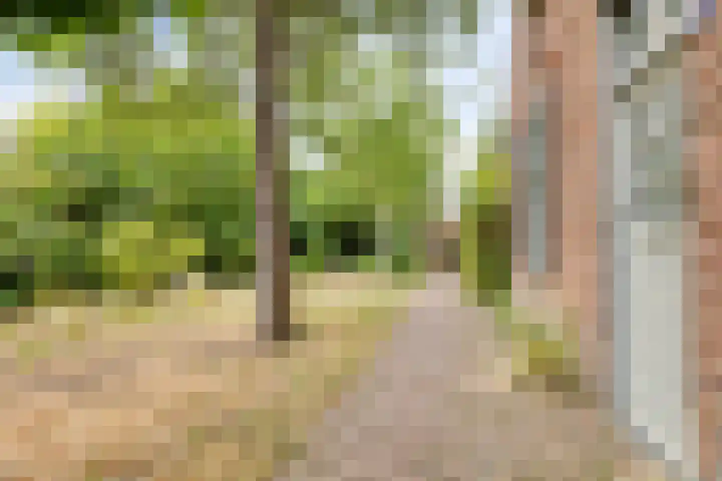 Pastoriestraat 2 Vlierden thumbnail 75