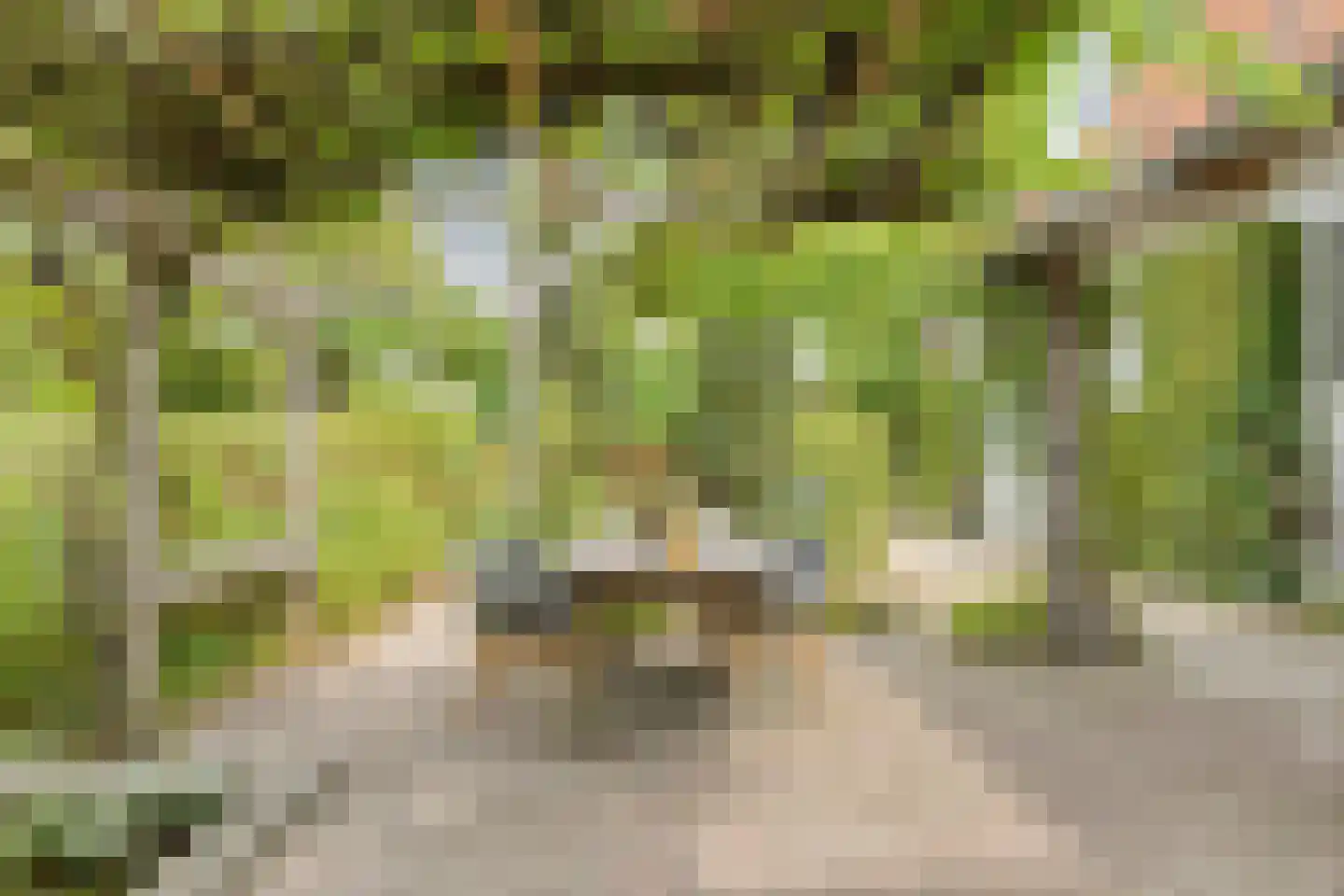 Pastoriestraat 2 Vlierden thumbnail 77
