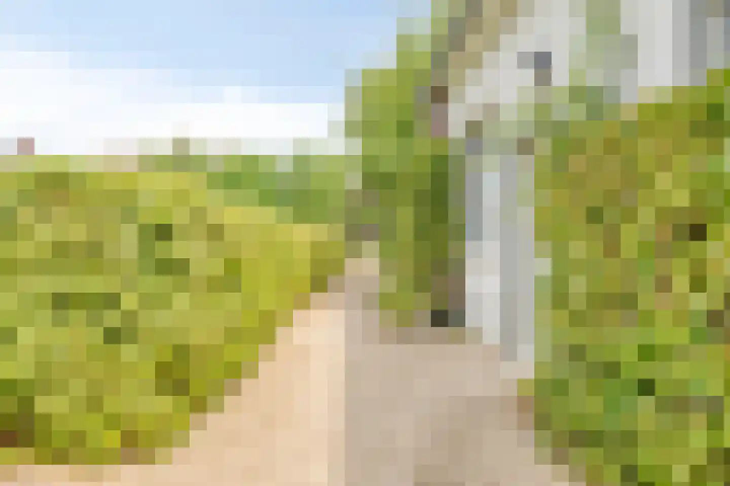 Pastoriestraat 2 Vlierden thumbnail 85