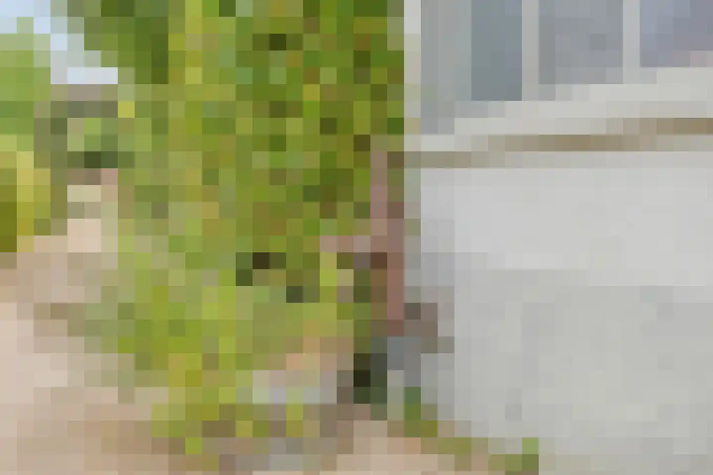 Pastoriestraat 2 Vlierden thumbnail 86