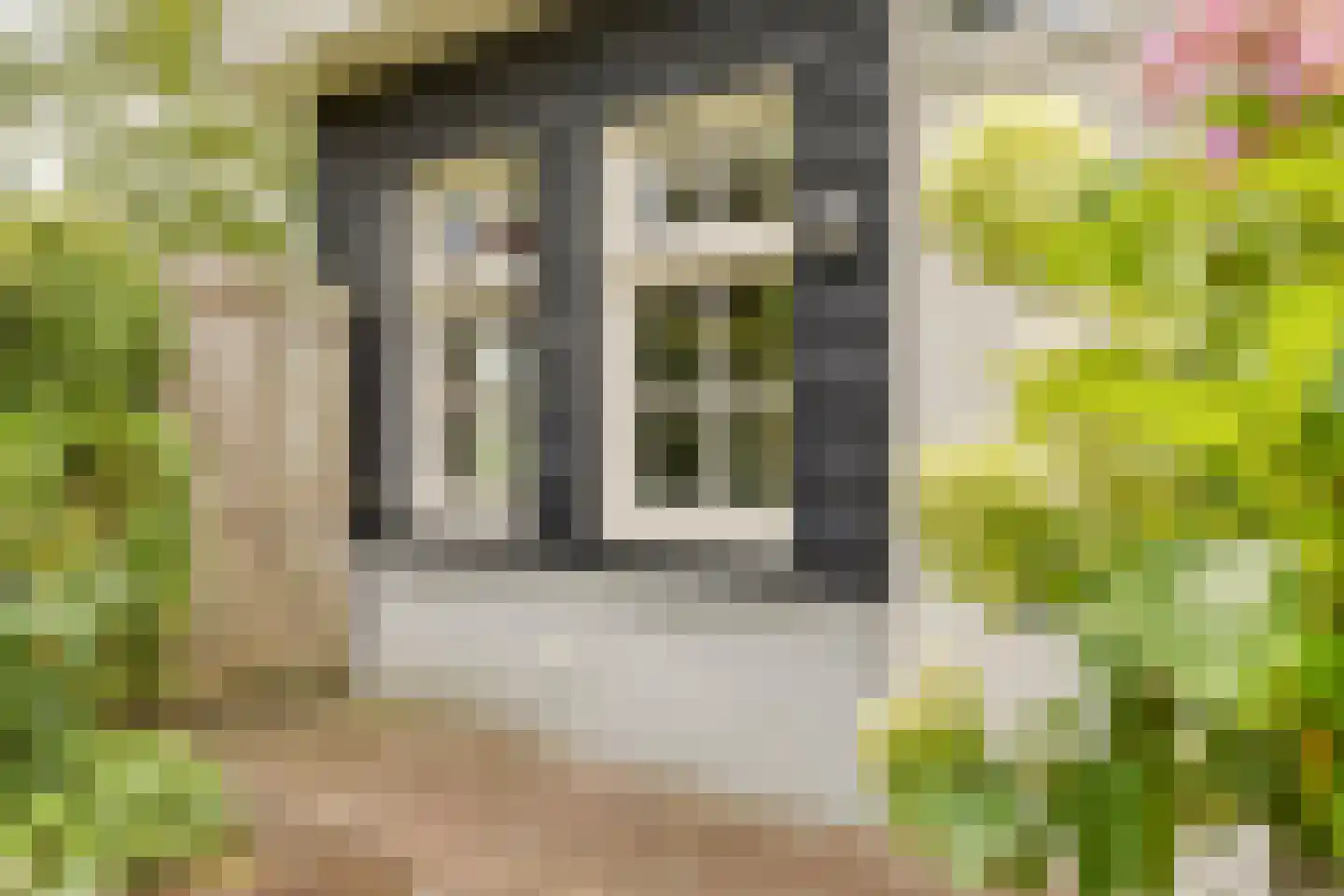 Pastoriestraat 2 Vlierden thumbnail 88