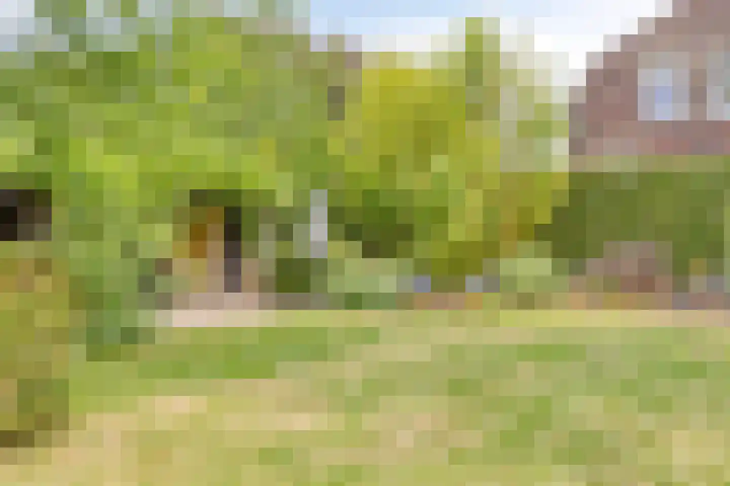 Pastoriestraat 2 Vlierden thumbnail 89