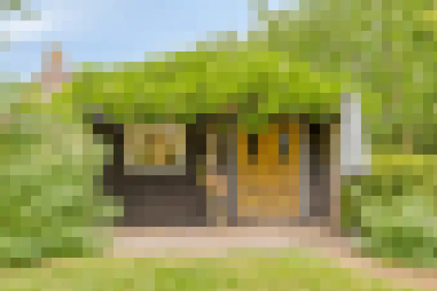 Pastoriestraat 2 Vlierden thumbnail 90