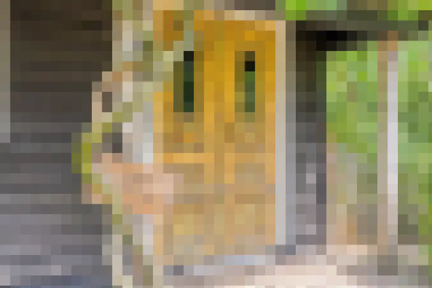 Pastoriestraat 2 Vlierden thumbnail 92
