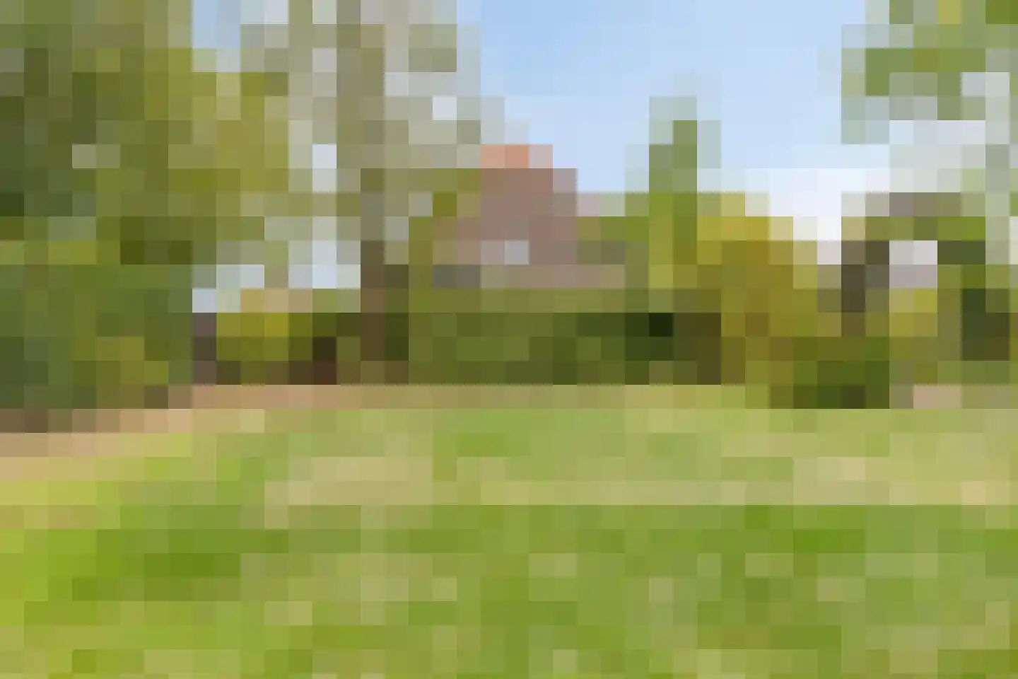 Pastoriestraat 2 Vlierden thumbnail 93