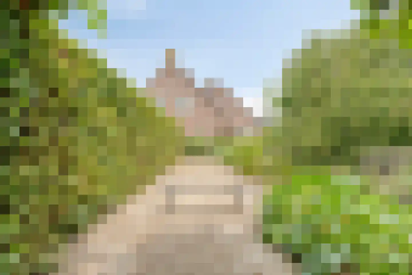 Pastoriestraat 2 Vlierden thumbnail 94