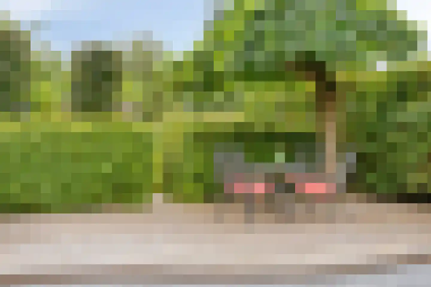 Pastoriestraat 2 Vlierden thumbnail 99