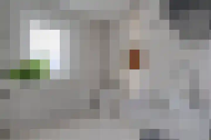 Pastoriestraat 22 Dalfsen thumbnail 21