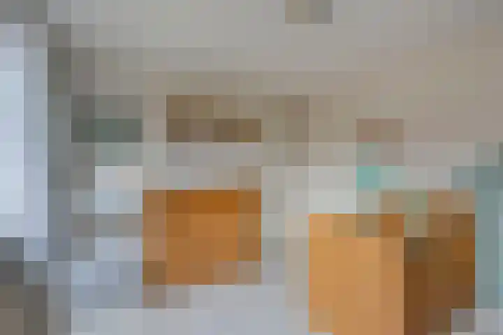 Pastoriestraat 22 Dalfsen thumbnail 25