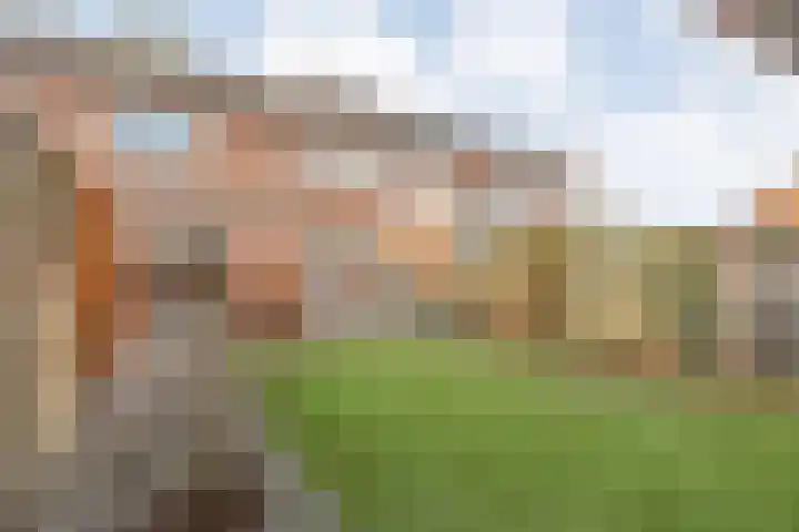 Pastoriestraat 22 Dalfsen thumbnail 26