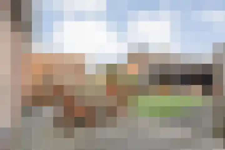Pastoriestraat 22 Dalfsen thumbnail 31