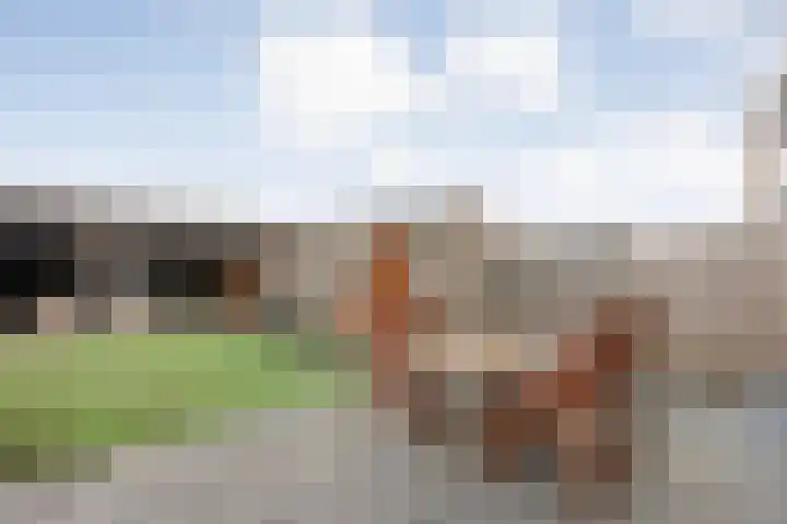 Pastoriestraat 22 Dalfsen thumbnail 32