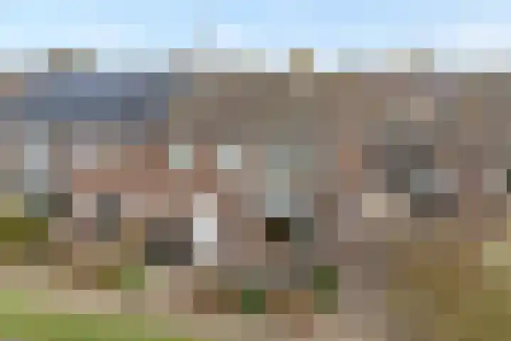 Pastoriestraat 22 Dalfsen thumbnail 33