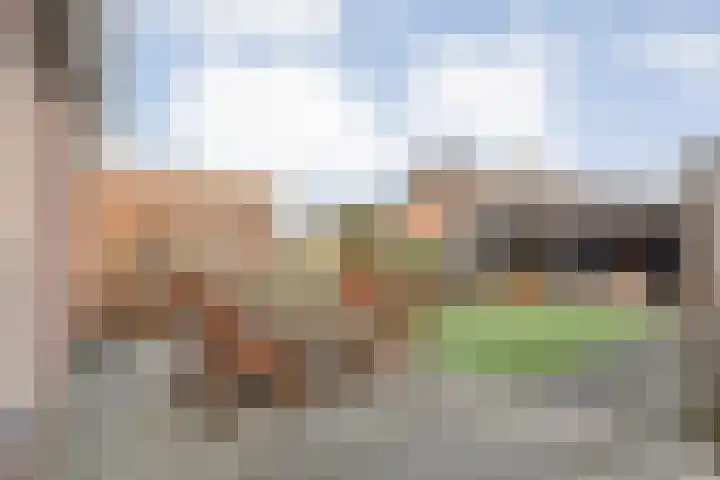 Pastoriestraat 22 Dalfsen thumbnail 5