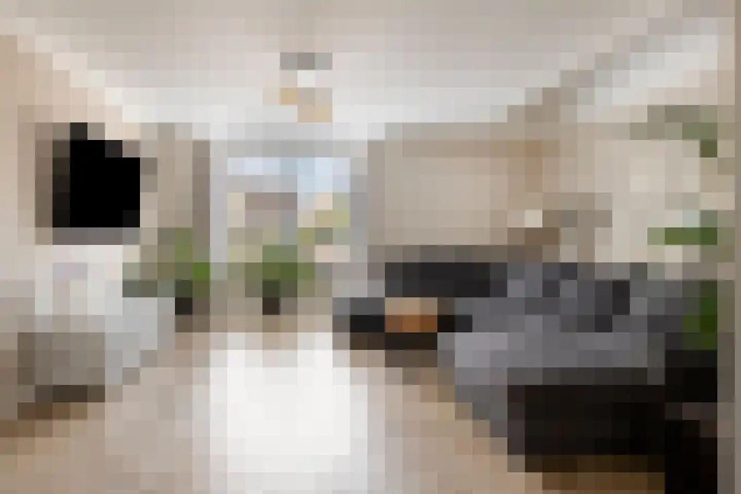 Pastoriestraat 40 Vlierden thumbnail 10